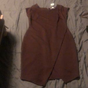 Barr III Dress NWT size Large Dark Prune color!
